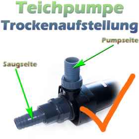 Tipps Und Tricks Für Teiche | Teichfilter