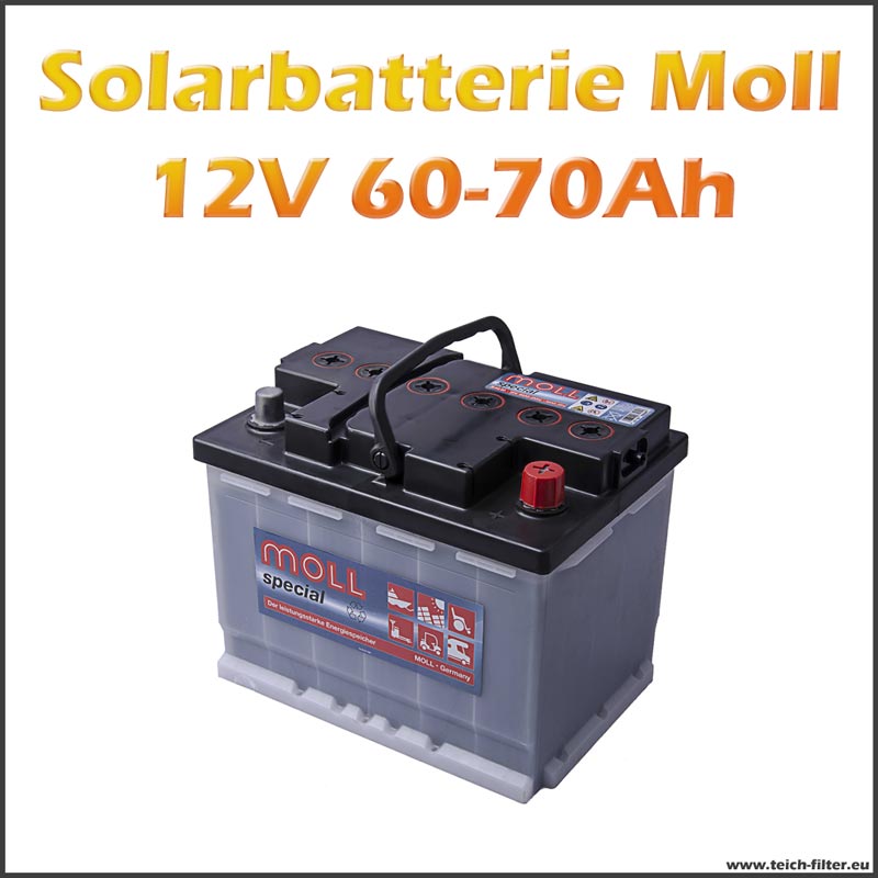 Teichfilter für Solar Moll Batterie 12V | Inselanlagen 60-70Ah