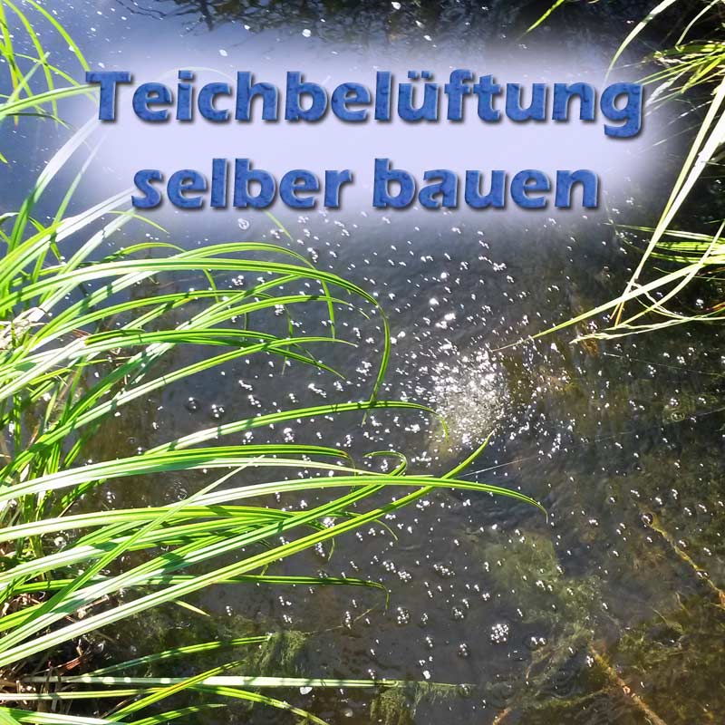 https://www.teich-filter.eu/media/image/6f/f4/ea/teichbelueftung-selber-bauen.jpg