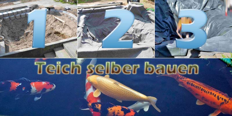 Teich anlegen und selber bauen mit Bauanleitung (Teichbau ...